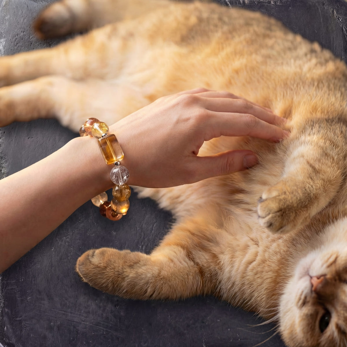 Z02 Aurum Complex bracelet worn on the wrist while stroking an orange cat