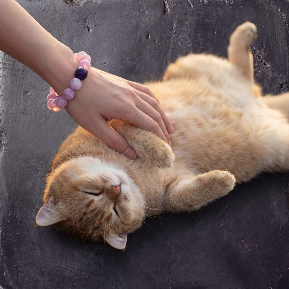 Z04 Violet Static bracelet worn on the wrist, hand resting on an orange cat
