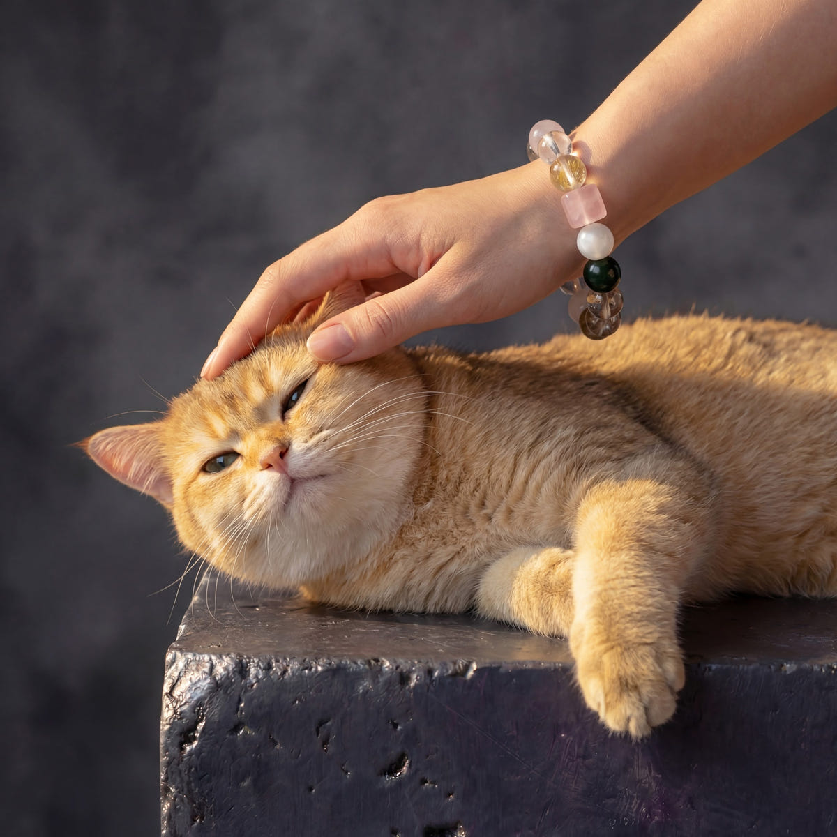 Z07 Rose Protocol bracelet worn while petting an orange cat's head