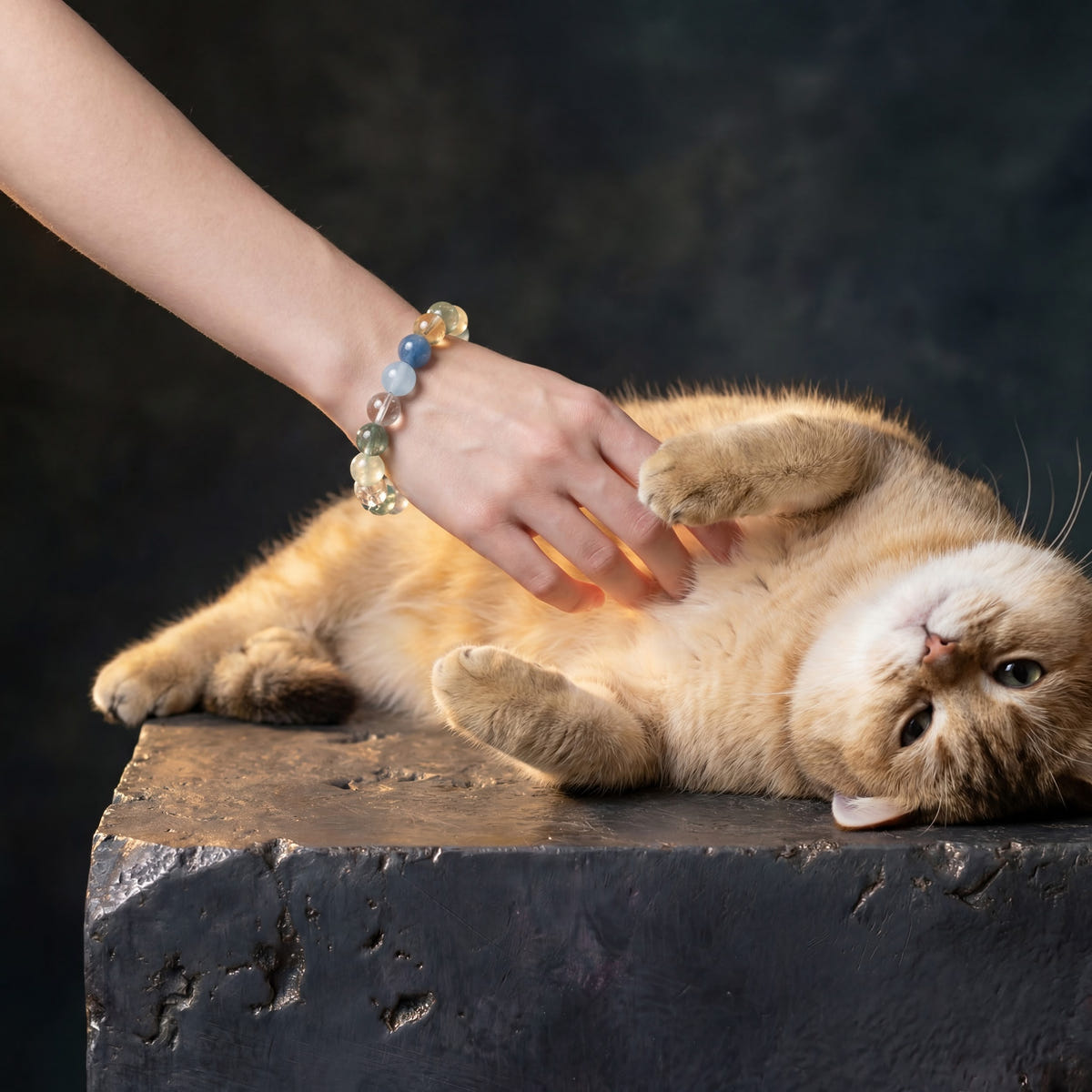 Z08 Verdant Bios bracelet worn on the wrist beside a reclining orange cat